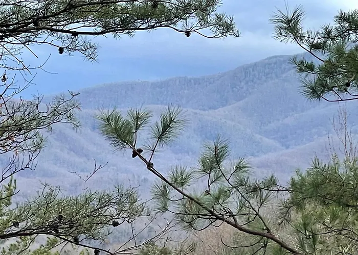Mountain Love Nest