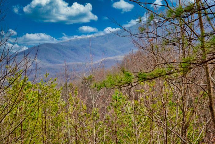 Mountain Nest Gatlinburg
