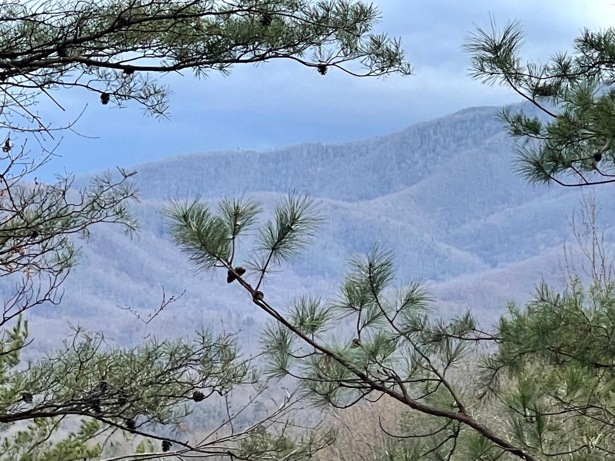 Mountain Nest Casa de Férias Gatlinburg